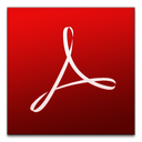 PDF file